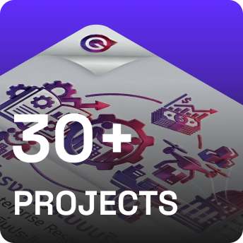 30+ projects delivered